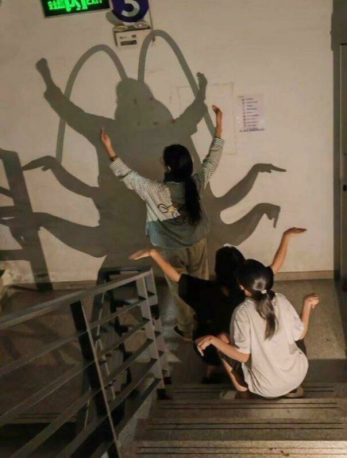 The Cockroach Of Shadows