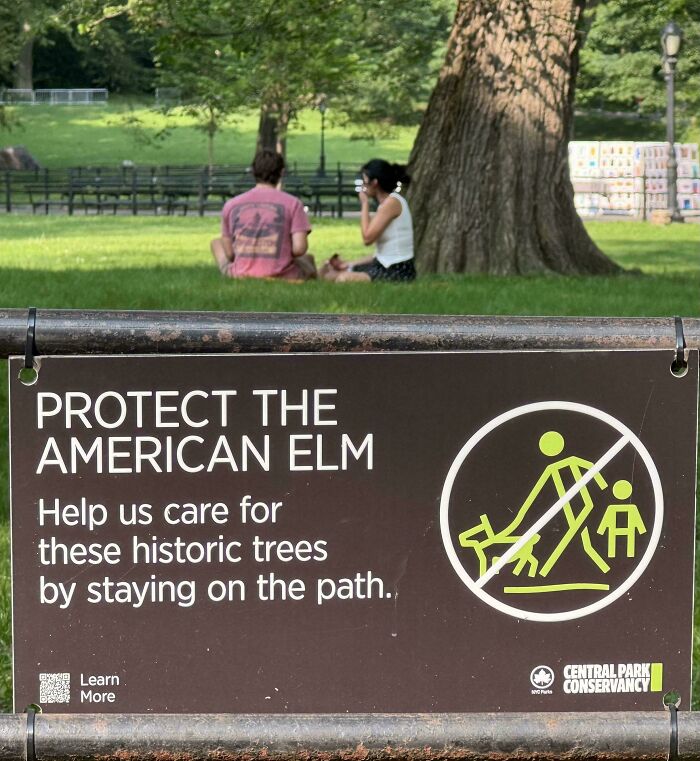 People sitting under a protected American Elm tree ignoring rules, showing lack of care about etiquette in public spaces.