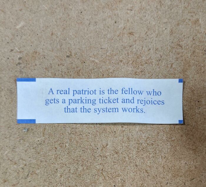 A note mocking statists, stating a patriot rejoices in getting a parking ticket as proof the system works, reflecting anarchist views.