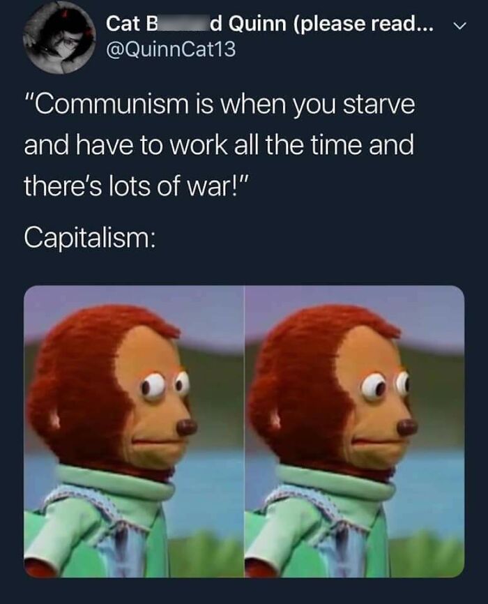 Meme with a monkey puppet looking sideways, mocking statists with anarchists questioning capitalism and communism.