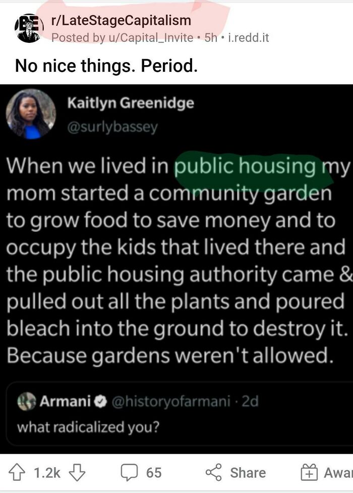 Post from LateStageCapitalism mocking public housing rules, highlighting anarchist views on statist control and questionable policies.