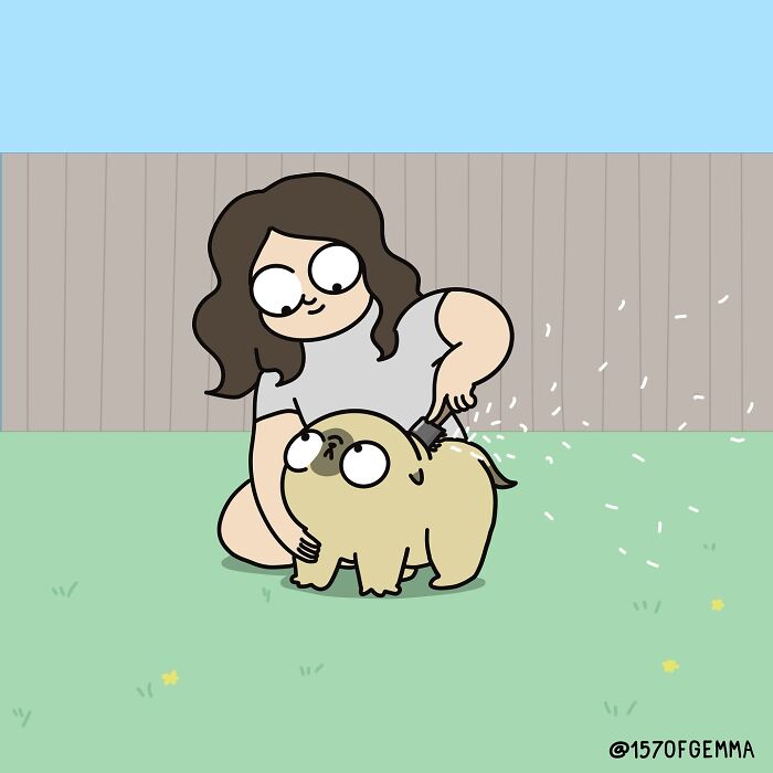 Artist grooming her cute pug outdoors in a funny comic style showing their adorable daily life together.