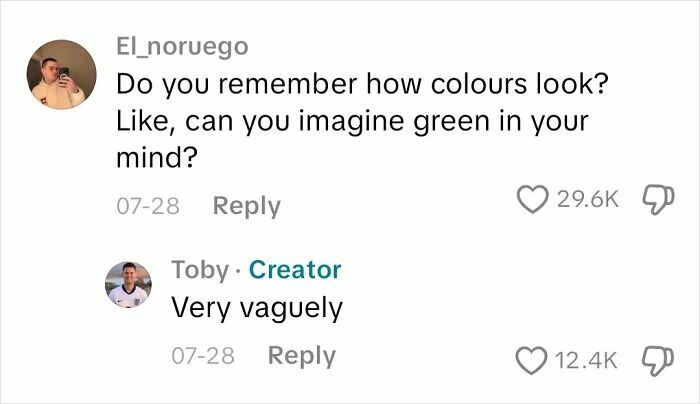 Comment asking if blind person can remember or imagine colors, with reply saying very vaguely, about blindness experience.