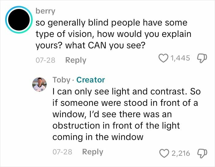 Commenter asks about vision of blind people, and a blind creator explains seeing only light and contrast obstructed by objects.