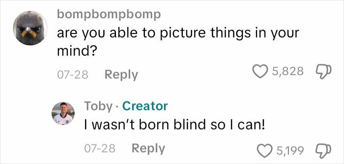 Screenshot of a social media conversation about visual imagination experiences from an actual blind person answering questions.