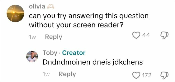 Commenter asks if the creator can answer without screen reader, creator responds with jumbled text in a blind person Q&A.