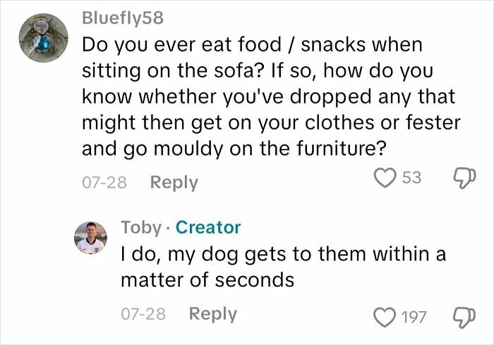 Comments from a blind person answering questions about daily life challenges, including cleaning snacks from furniture.