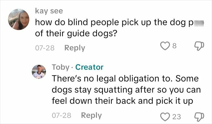 Comment about how blind people pick up dog poops of their guide dogs with answers from an actual blind person.