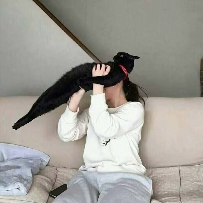 Person holding a very long black cat stretched out, showcasing a strange but funny photo of cats.