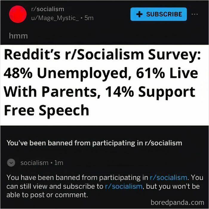 Reddit r/Socialism survey stats mocking statists with unemployment, living with parents, and free speech support percentages.