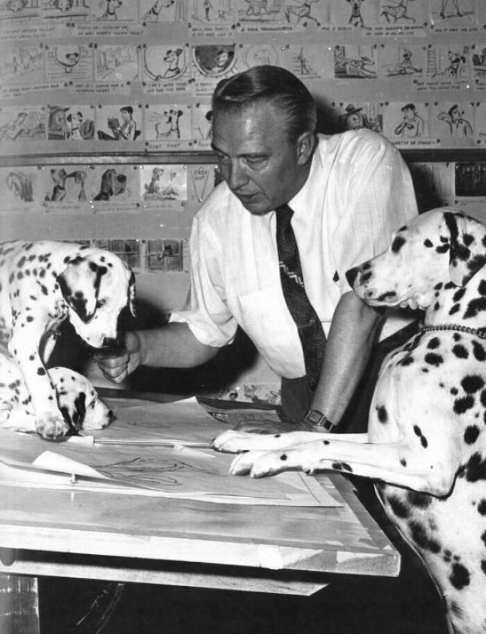 Man sketches Dalmatian dogs on a table while one dog watches and another puppy interacts with him in a historical photo.
