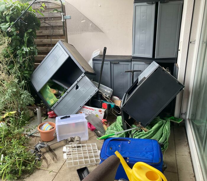 Chaotic pets causing mess and destruction with overturned storage units and scattered household items on a patio.