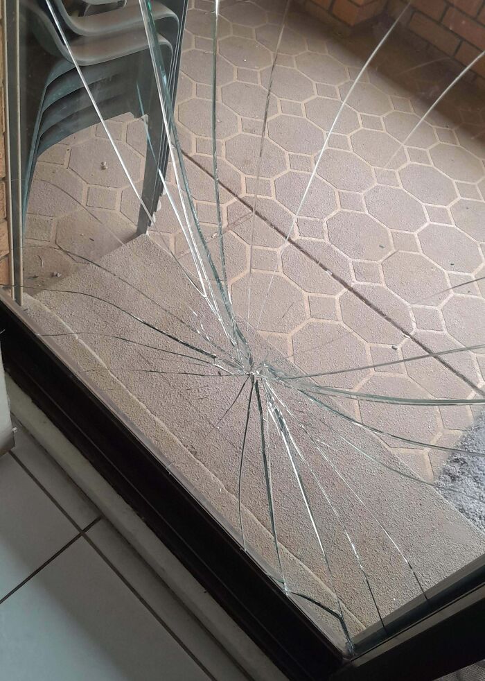 Broken glass door with cracks caused by chaotic pets being a menace on tiled patio floor.