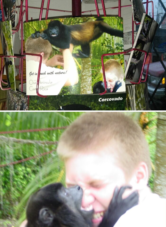 Boy learning his lesson with a monkey grabbing his face in a funny nature interaction photo postcard display.