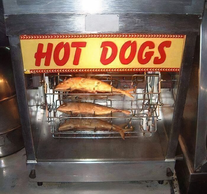 Vintage hot dog warmer machine with several cooked fish inside, illustrating unhealthy food warnings for physical and mental health.