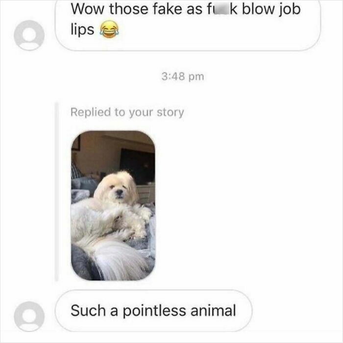 Screenshot of a cringy man messaging an insult to a woman with a photo of a dog in a social media reply.