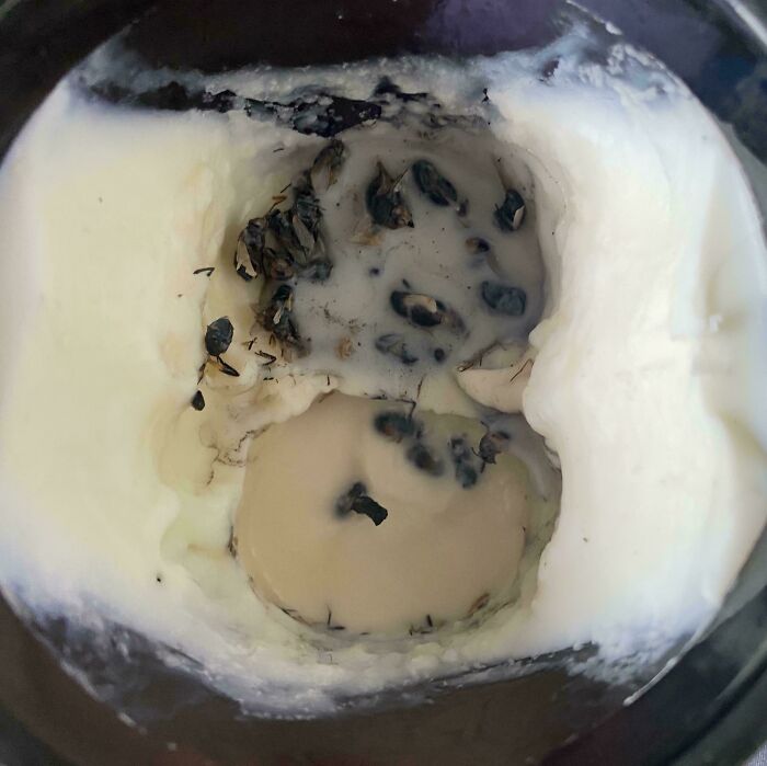 Melted candle wax with burnt blackened wick remnants inside a jar, showing sibling shenanigans aftermath.