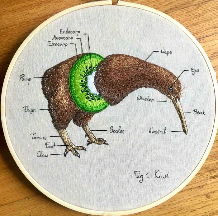 Embroidery art of a kiwi bird with detailed anatomical labels showcasing incredible embroidery skills on fabric.
