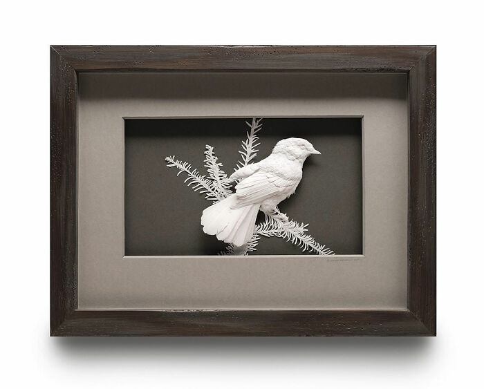 Paper wildlife sculpture of a bird perched on a branch, showcasing stunningly realistic details in a framed display.