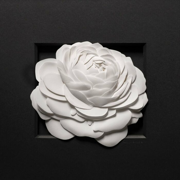 White paper sculpture resembling a detailed realistic flower, showcasing stunning wildlife art crafted from simple paper layers.