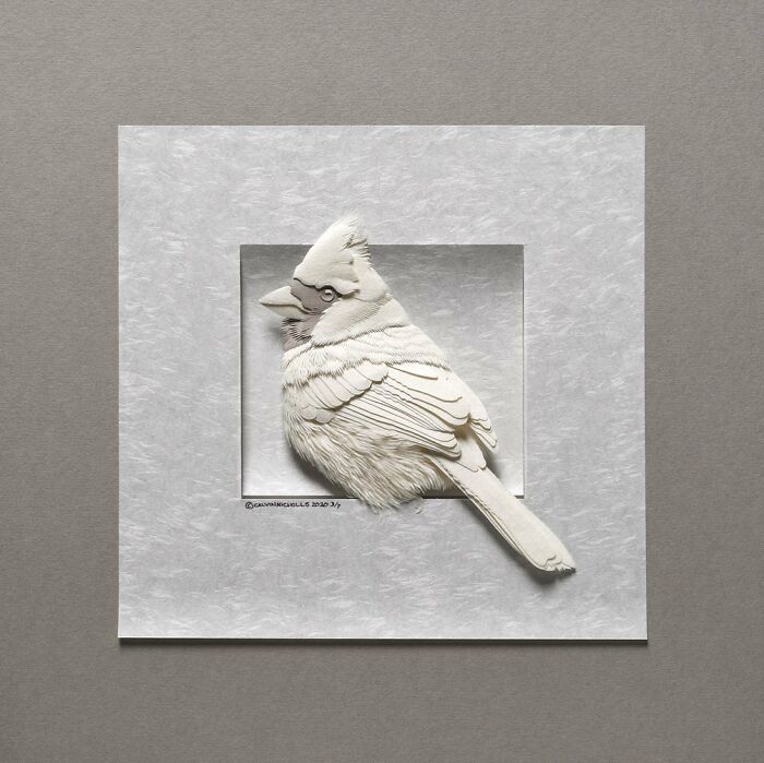 Paper sculpture of a detailed, realistic bird created by an artist using simple paper in wildlife art form.