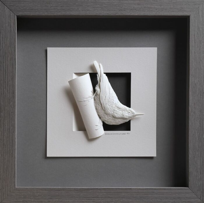 Realistic wildlife paper sculpture of a bird emerging from a curled paper in a framed display, showcasing detailed texture and form.