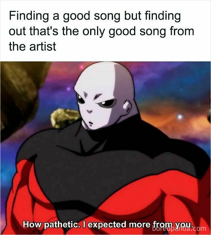 Relatable meme showing disappointment in finding only one good song from an artist, highlighting humor and everyday frustrations.