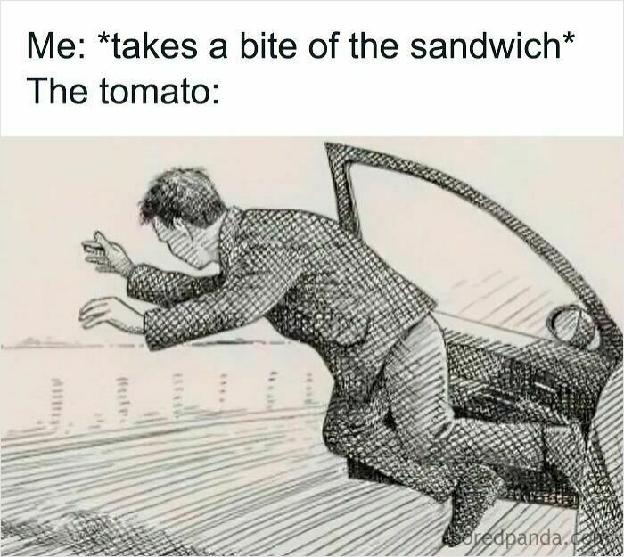 Man humorously falling out of car to represent tomato in a relatable meme about taking a bite of a sandwich.