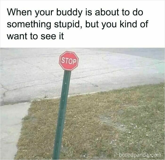 Meme with a crooked stop sign and text about wanting to see a buddy do something stupid relatable meme.