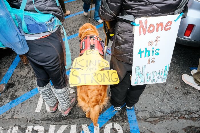 Golden retriever wearing a sign that says Be Kind and Strong, standing between two people in a crowded street scene.