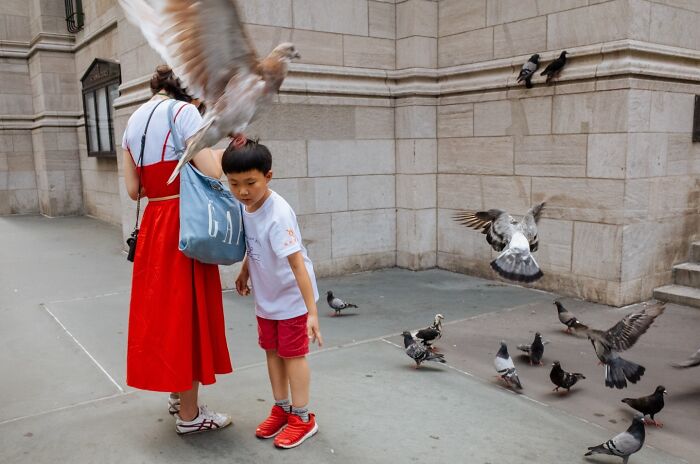 Child and woman on city street surrounded by pigeons capturing hilarious and heartwarming animal moments.