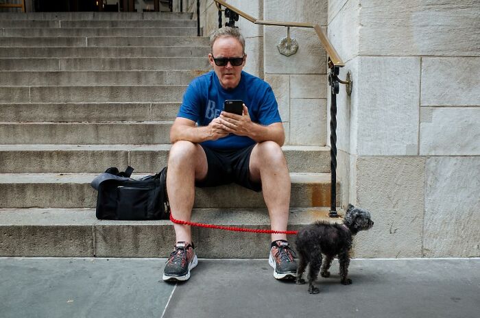 Man sitting on outdoor steps using phone while small dog on red leash stands nearby in a heartwarming street moment