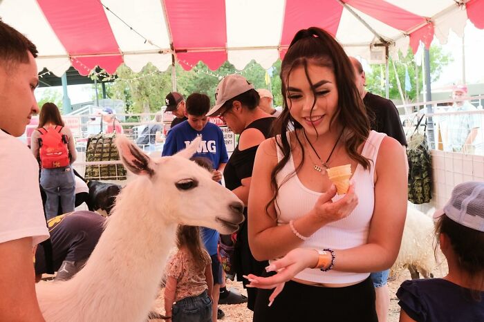 Young woman smiling and feeding an alpaca at a street event with heartwarming animal moments around.