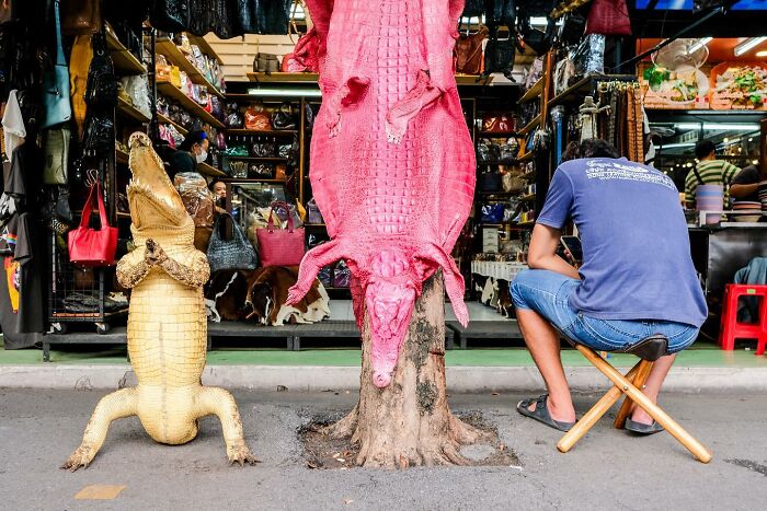 A man sitting by colorful crocodile skins displayed on the street, capturing a heartwarming animal moment.