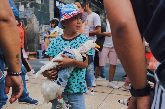 Child holding a dressed duck among pedestrians, capturing hilarious and heartwarming animal moments on the streets.