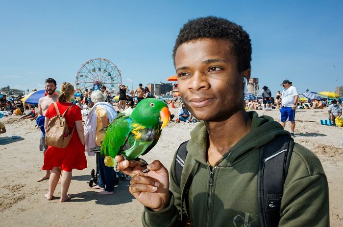 Young man holding a colorful parrot on a crowded beach, capturing a heartwarming animal moment on the streets.