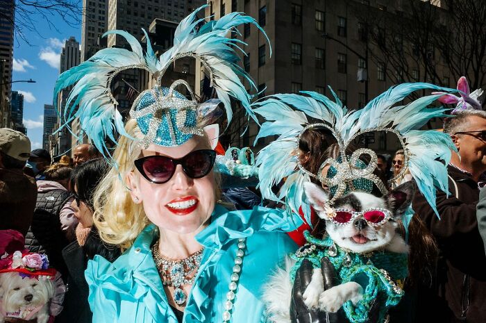 Woman and small dog dressed in matching blue feather costumes during a hilarious and heartwarming animal moment on the streets.