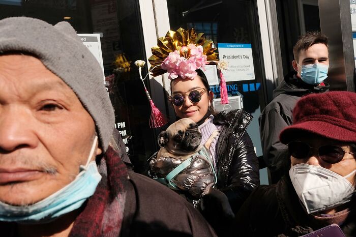 Woman wearing festive headpiece holding a pug dog on a busy street, capturing hilarious and heartwarming animal moments.