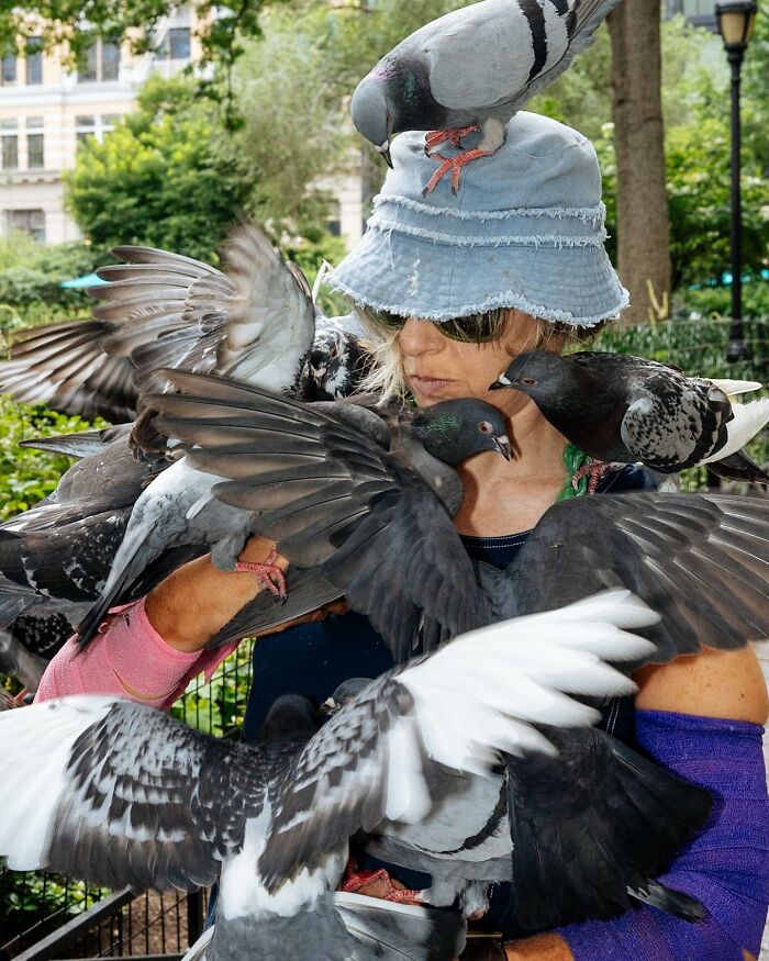 Woman in a blue hat surrounded by pigeons, capturing hilarious and heartwarming animal moments spotted on the streets.