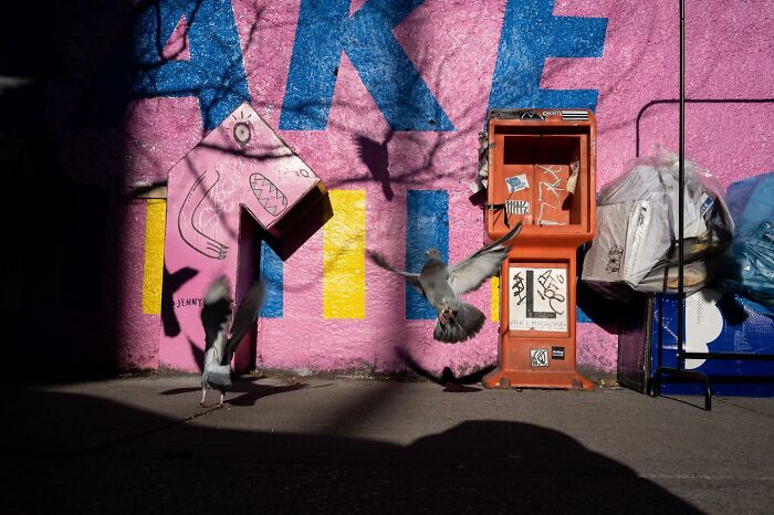 Pigeons in flight near colorful graffiti and street objects, capturing heartwarming animal moments on urban streets.