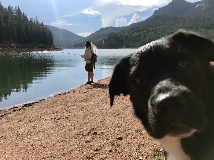 Black dog photobombing while person fishes by a lake with mountains in the background, funny pets crashed photos moment
