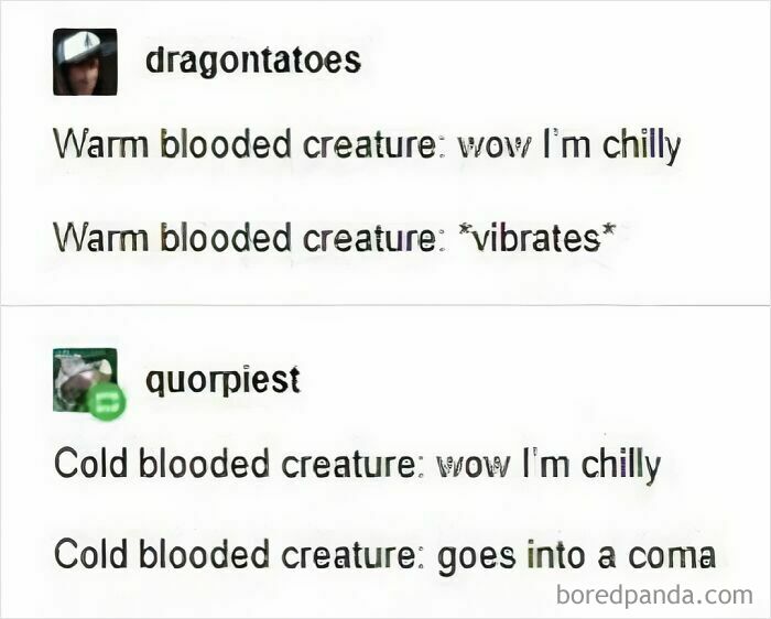 Text meme comparing warm blooded creatures feeling chilly and cold blooded creatures going into a coma, related to science memes and photosynthesis.