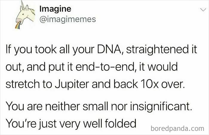 Science meme about DNA length showing a humorous fact, appealing to both science and non-science people.