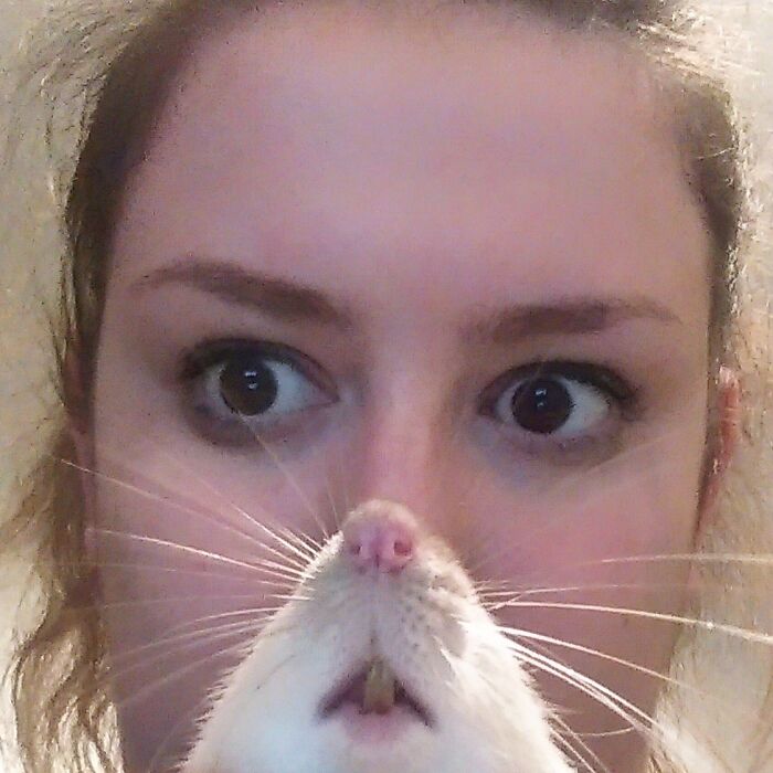 Close-up of a person with a pet rat photobombing, showcasing one of the funny times pets crashed photos.
