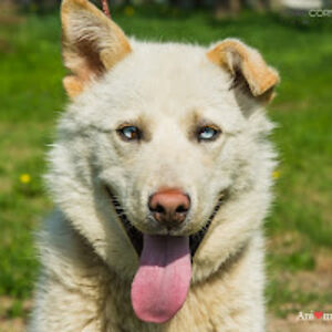 gillesrodrigue_1 avatar