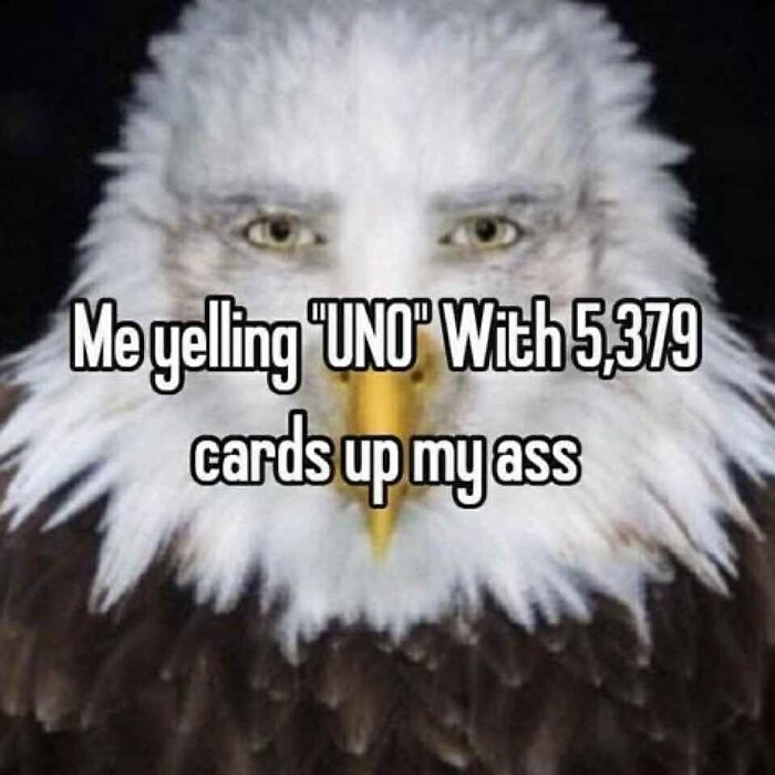 Meme featuring a close-up of an eagle with human-like eyes and text humorously about yelling UNO with many cards, random memes chaos.