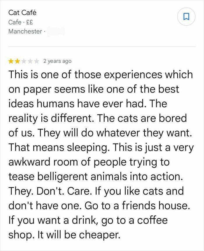 Humorous product and service review of a Cat Café describing bored cats and awkward visitor experiences.