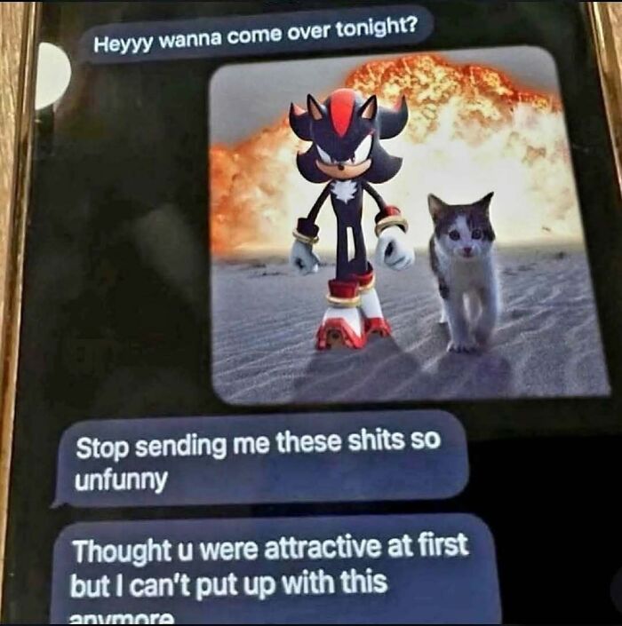 Text message conversation with a meme of Sonic and a cat in front of an explosion, showcasing random memes that bring laughter.