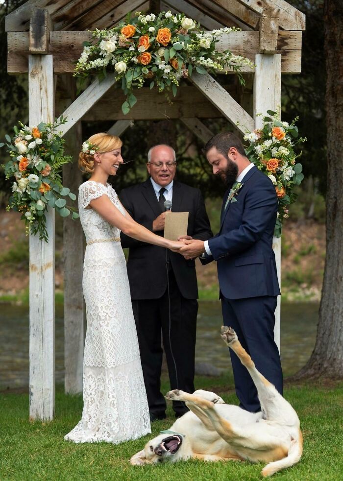 Bride and groom holding hands during wedding ceremony as a dog crashes photo lying playfully on the grass.