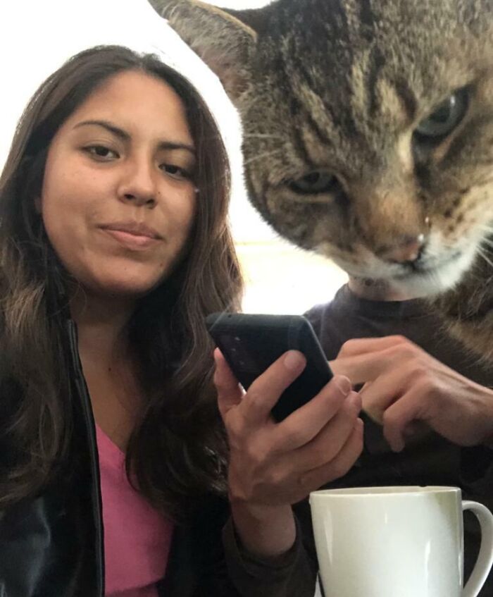 Woman and cat in a selfie with the cat funny photo bombing, a classic example of pets crashing photos and stealing the show.
